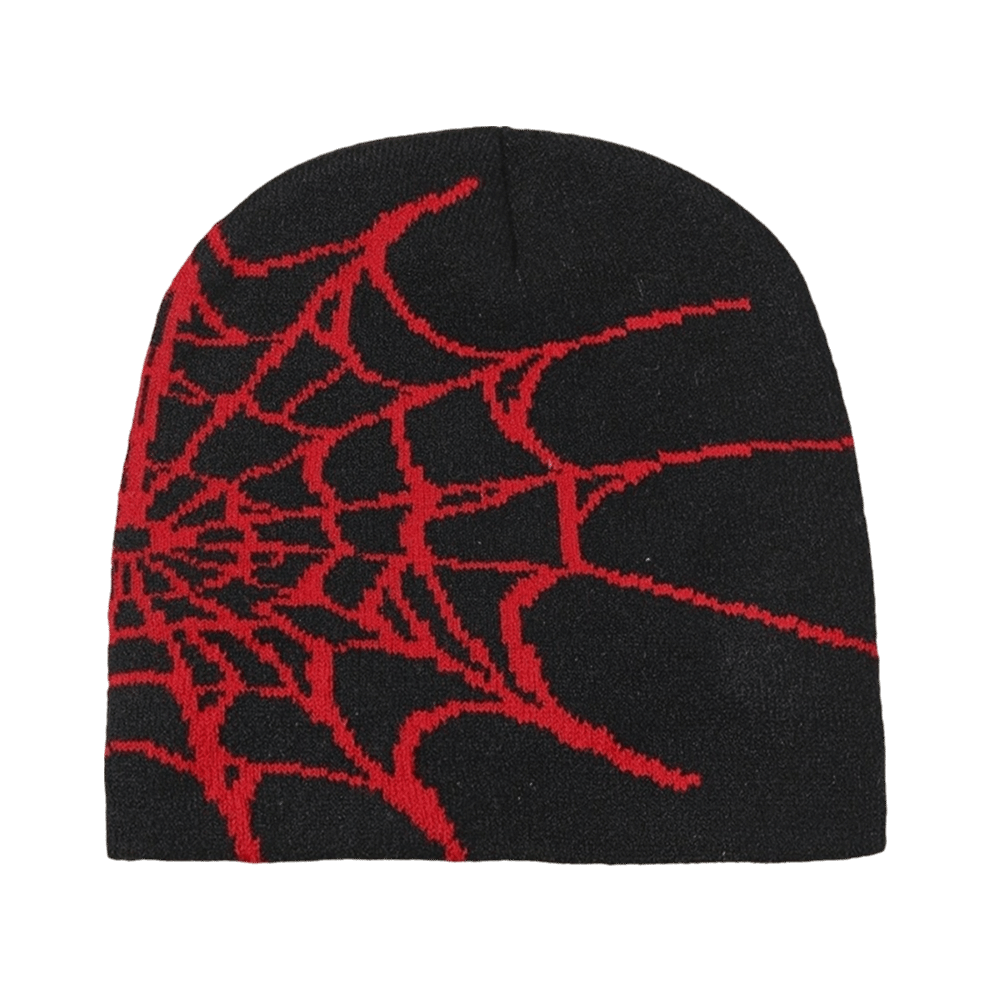 Y2K Zachte Spider Web Patroon  - Beanie Cuffed Knit recensie en prijs